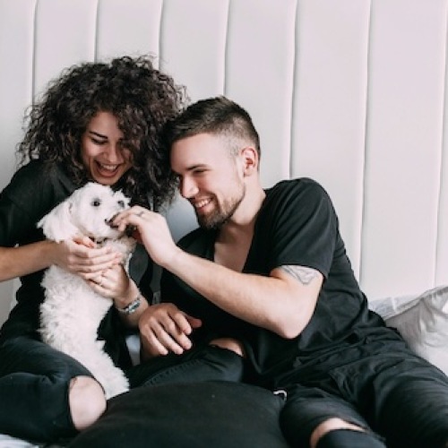 a couple playing with their pet